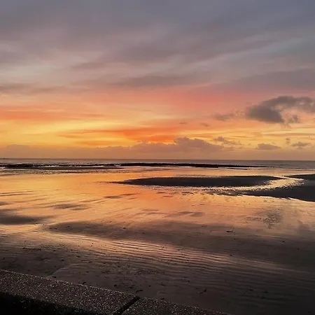 Serenity View Face 5 Mn De Nausicaa *