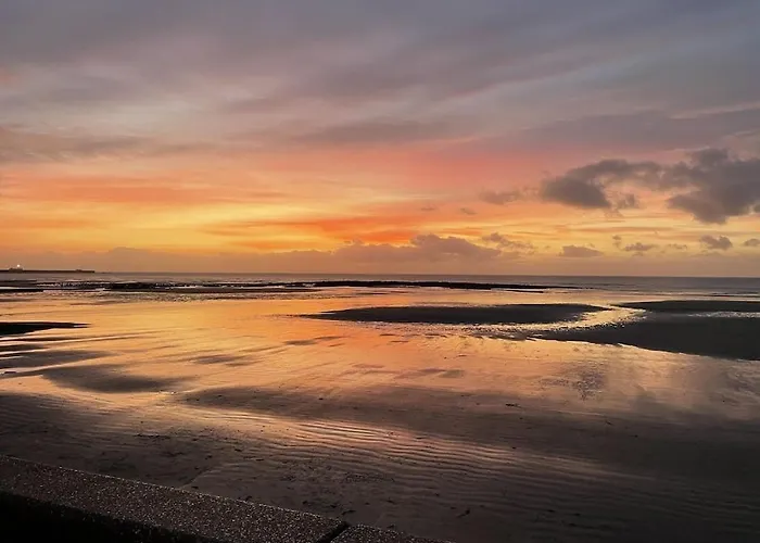 Serenity View Face 5 Mn De Nausicaa *