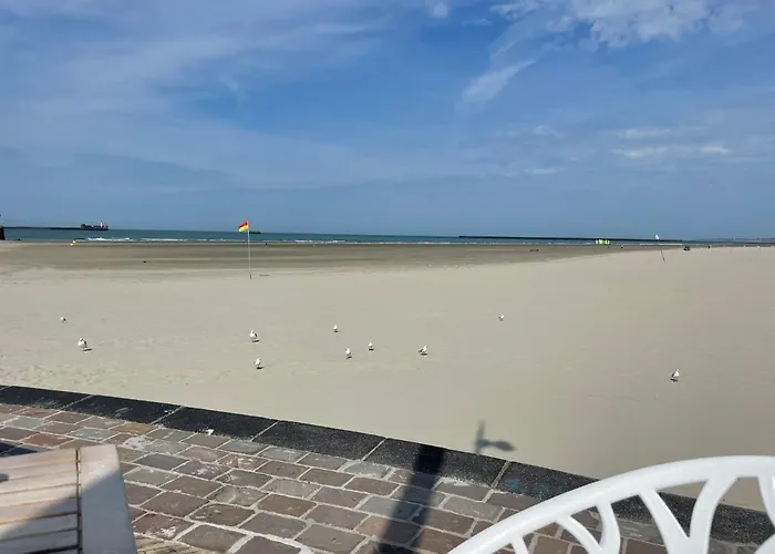 Serenity View Face 5 Mn De Nausicaa Villa *