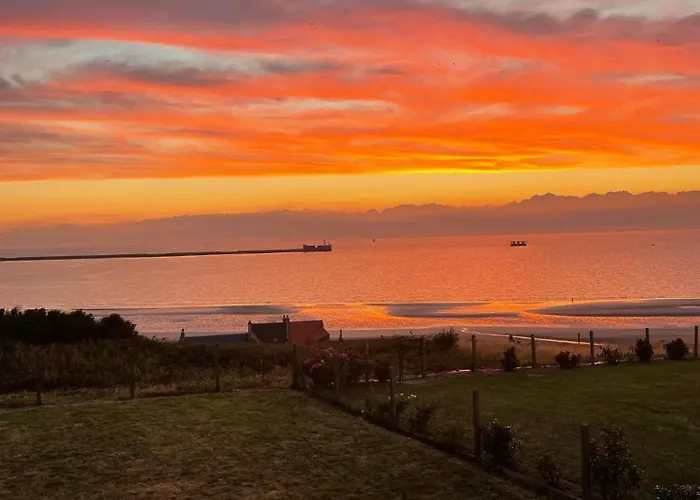 Serenity View Face 5 Mn De Nausicaa